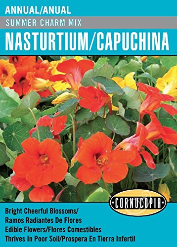 'Summer Charm Mix' Nasturtium/Capuchina - Spanish/English