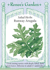 Runway Arugula