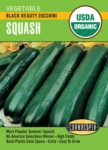 'Black Beauty Zucchini ' Organic Squash
