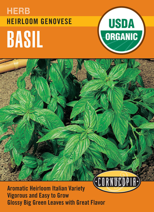 'Genovese' Organic Basil