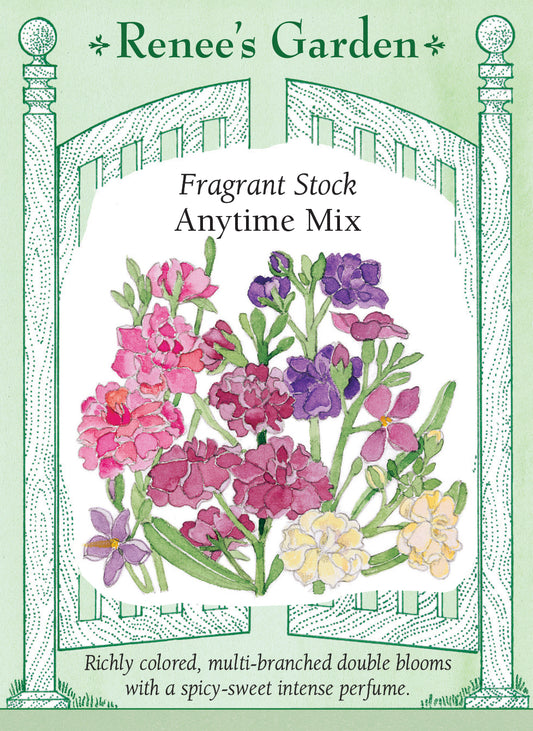 Anytime Mix