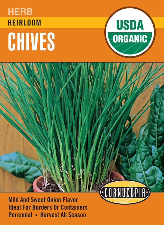 Organic Heirloom Chives