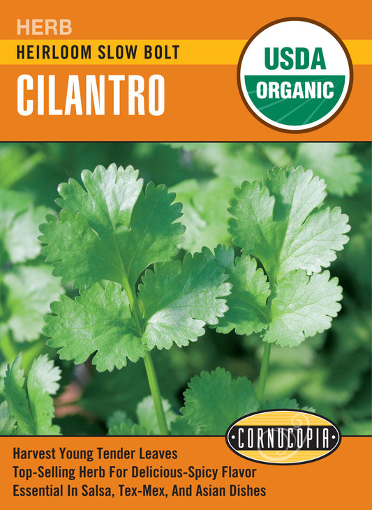 'Slow Bolt' Organic Cilantro