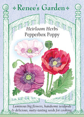 Pepperbox Poppy