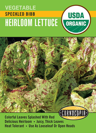 'Speckled Bibb' Heirloom Lettuce