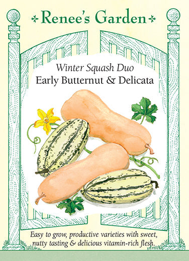 Early Butternut & Delicata