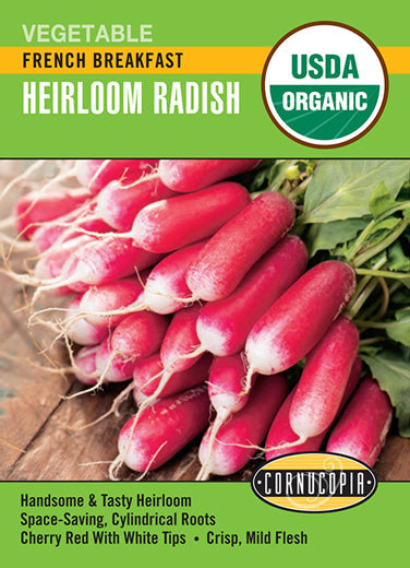 'French Breakfast' Organic Heirloom Radish
