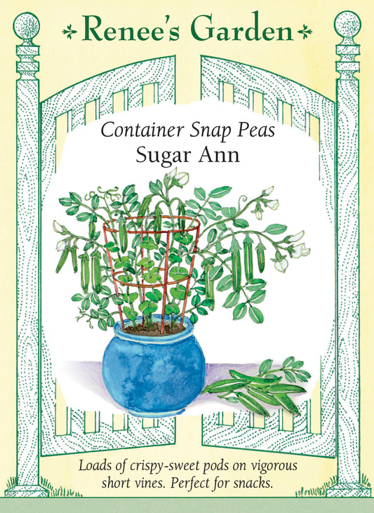 Sugar Ann