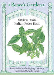 Italian Pesto Basil