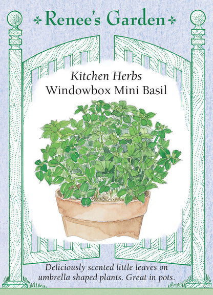 Windowbox Mini Basil