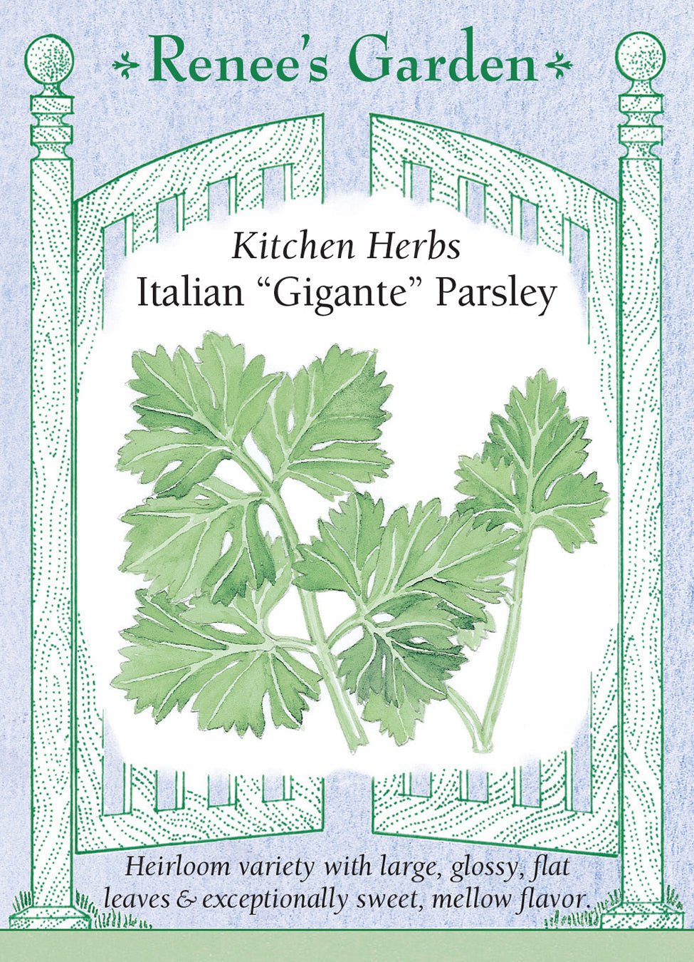 Italian 'Gigante' Parsley