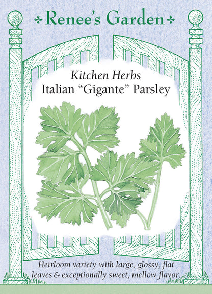 Italian 'Gigante' Parsley