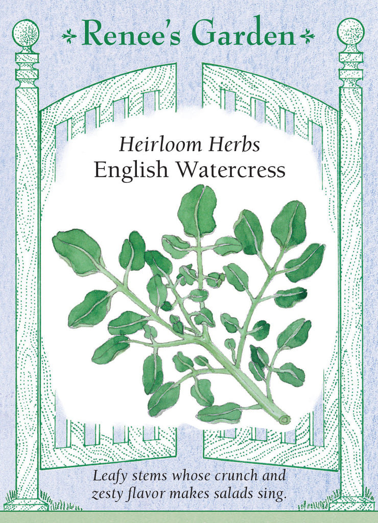 English Watercress