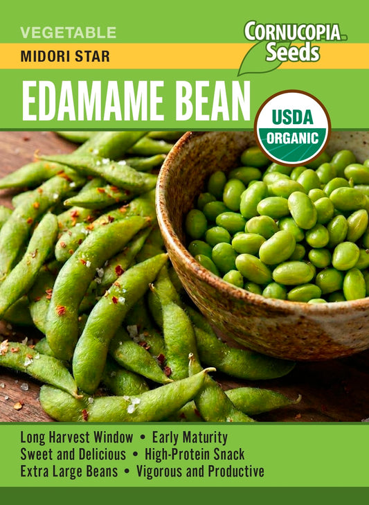 Edamame Bean - Midori Star