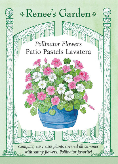 Patio Pastels Lavatera