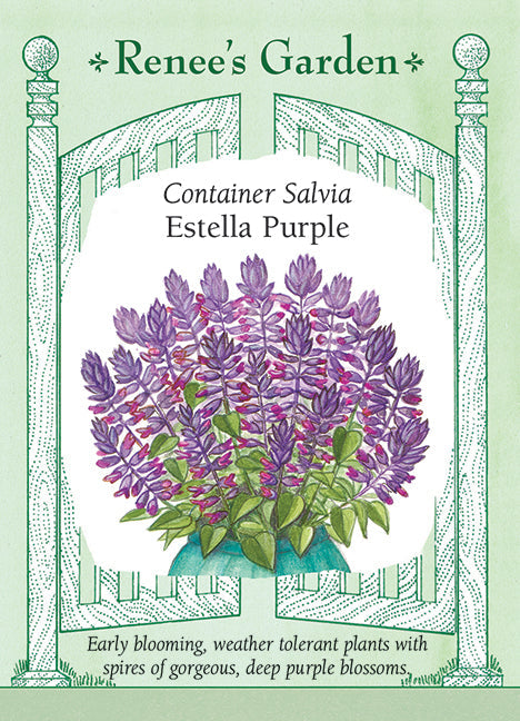 Estella Purple