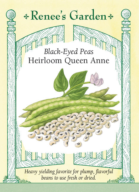 Heirloom Queen Anne