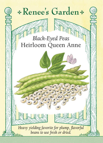 Heirloom Queen Anne