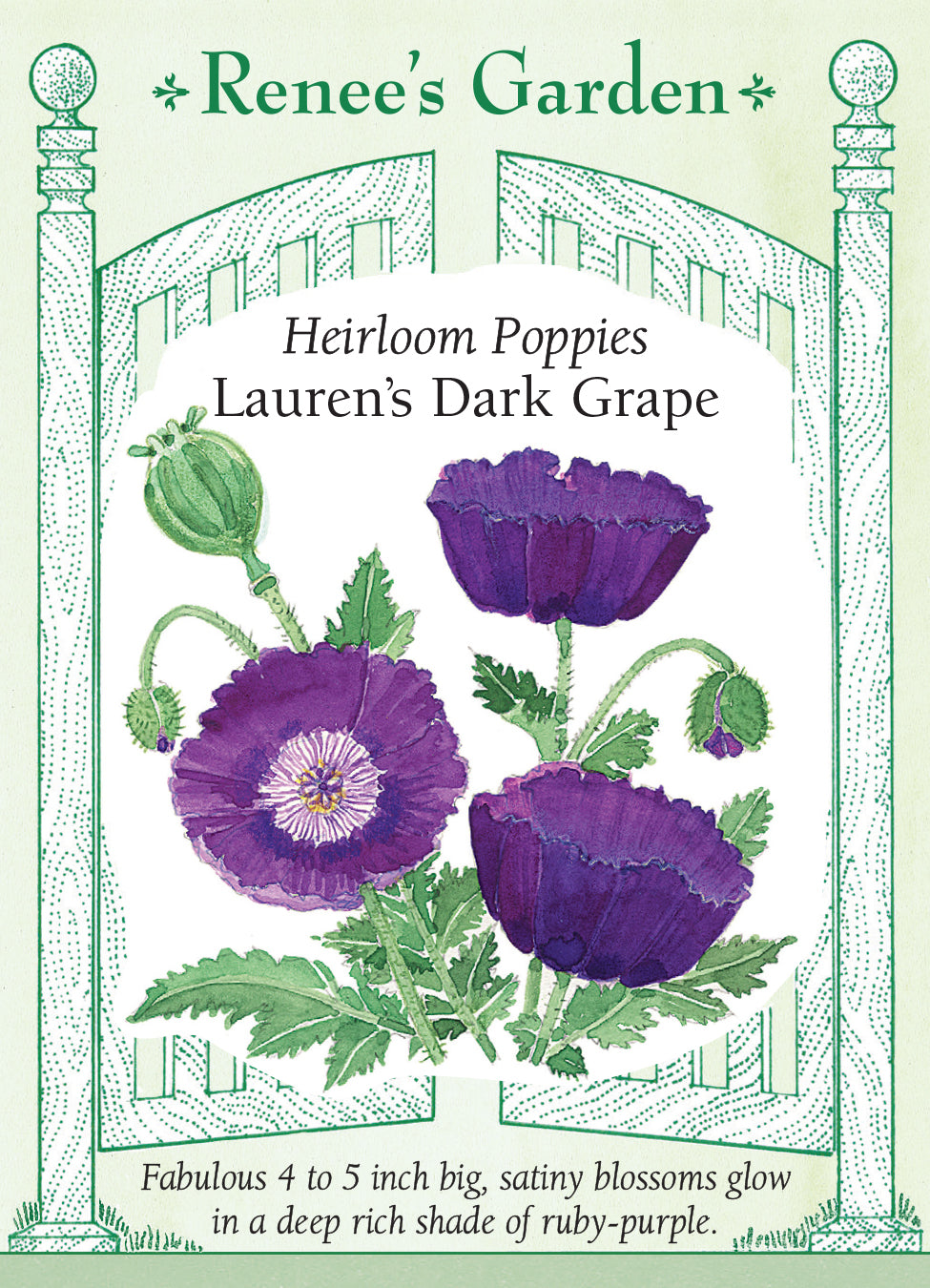 Lauren's Dark Grape