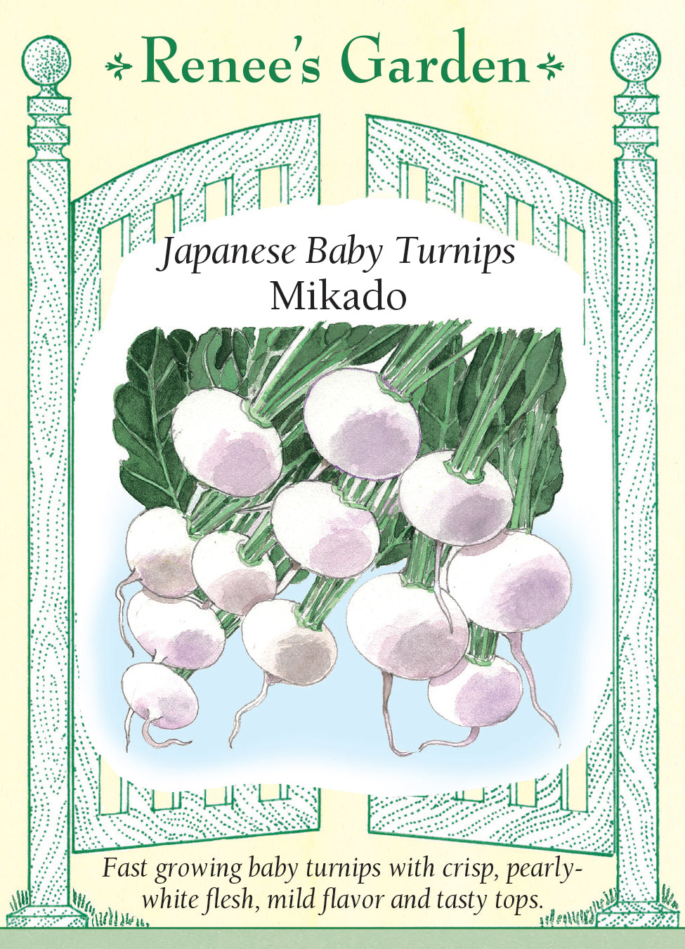 'Mikado' Japanese Baby Turnips – Renee’s Garden Wholesale
