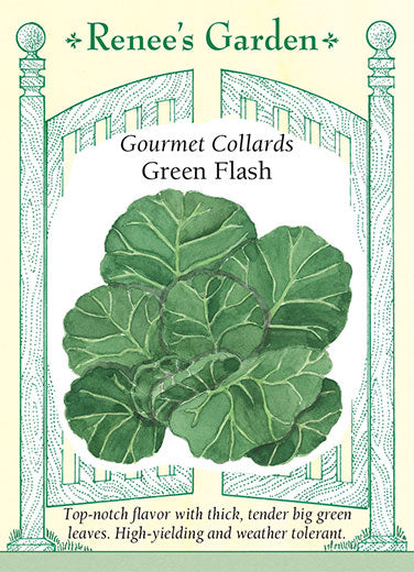 'Green Flash' Gourmet Collards | Renee's Garden Seeds
