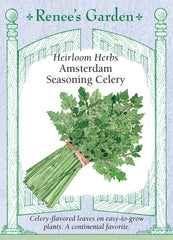 Amsterdam Seasoning Celery