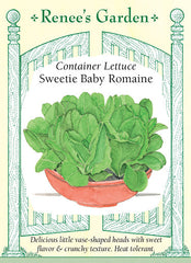 Sweetie Baby Romaine