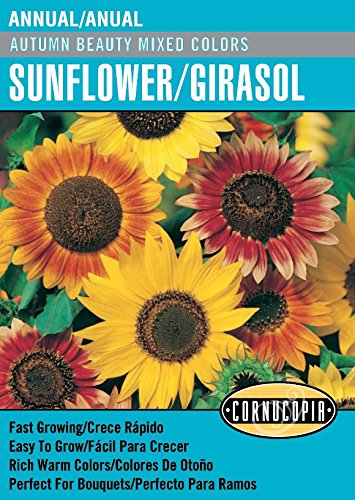 'Autumn Beauty Mixed Colors' Sunflower/Girasol - Spanish/English