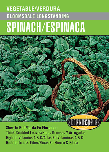'Bloomsdale Longstanding' Spinach/Espinaca - English/Spanish
