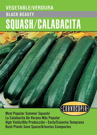 'Black Beauty' Squash/Calabacita - English/Spanish