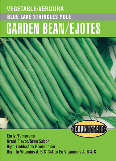 'Blue Lake Stringless Pole' Garden Bean/Ejotes - English/Spanish