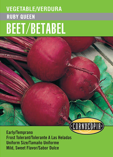 'Ruby Queen' Beet/Betabel - Spanish/English