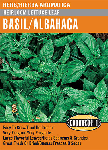 'Heirloom Lettuce Leaf' Basil/Albahaca - Spanish/English