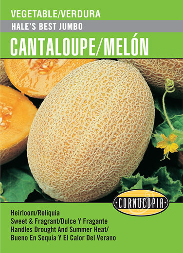 'Hale's Best Jumbo' Cantaloupe/Melón - Spanish/English