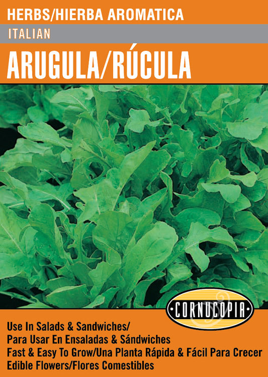 'Italian' Arugula/Rúcula - Spanish/English
