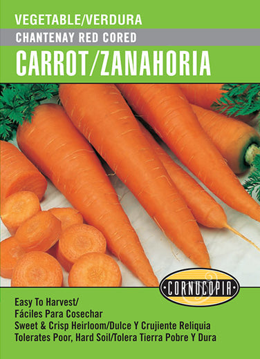 'Chantenay Red Cored' Carrot/Zanahoria - Spanish/English