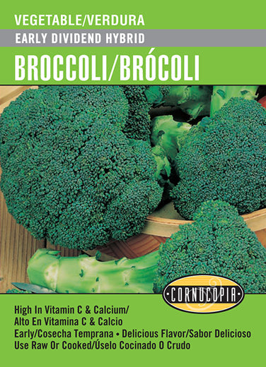 'Early Dividend Hybrid' Broccoli/Brócoli - Spanish/English
