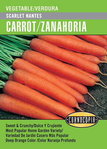 'Scarlet Nantes' Carrot/Zanahoria - Spanish/English