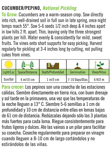 'National Pickling' Cucumber/Pepino - Spanish/English