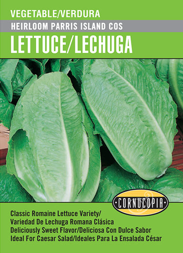 'Heirloom Parris Island Cos' Lettuce/Lechuga - Spanish/English
