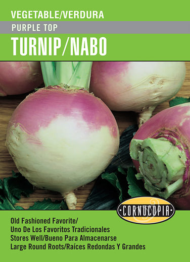 'Purple Top' Turnip/Nabo - Spanish/English