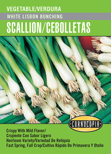 'White Lisbon Bunching' Scallion/Cebolletas - Spanish/English
