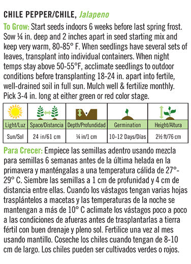 'Jalapeno/Jalapeño' Chile Pepper/Chile - Spanish/English