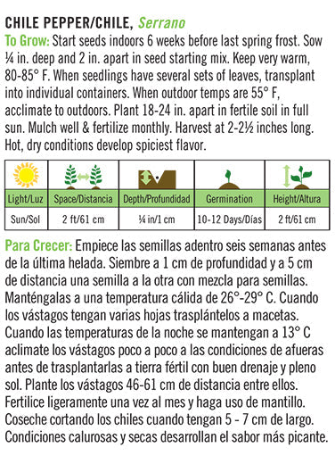 'Serrano' Chile Pepper/Chile - Spanish/English