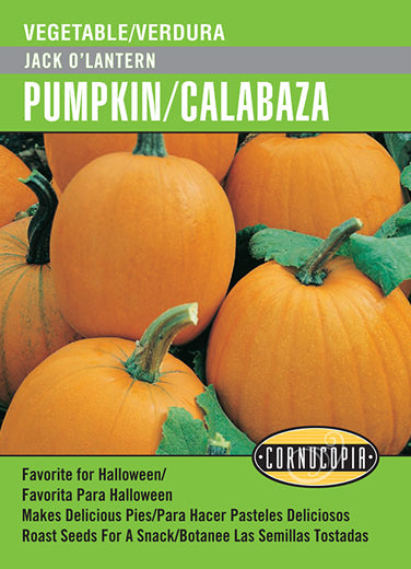 'Jack O'Lantern' Pumpkin/Calabaza - Spanish/English