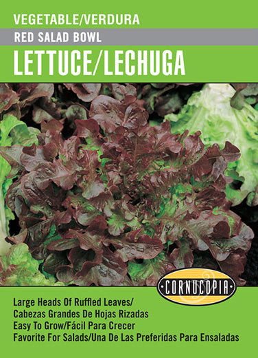 'Red Salad Bowl' Lettuce/Lechuga - Spanish/English