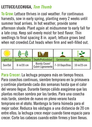'Heirloom Tom Thumb' Lettuce/Lechuga - Spanish/English