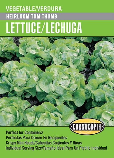 'Heirloom Tom Thumb' Lettuce/Lechuga - Spanish/English