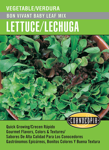'Bon Vivant Baby Leaf Mix' Lettuce/Lechuga - Spanish/English