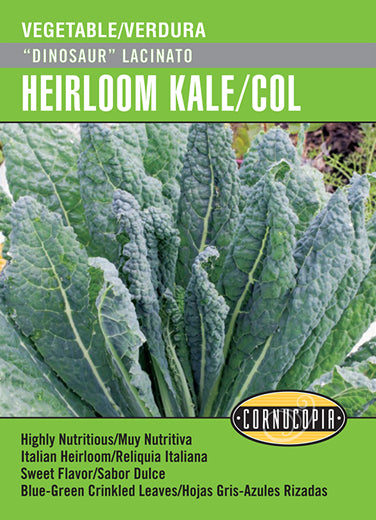 'Dinosaur Lacinato' Heirloom Kale/Col - Spanish/English
